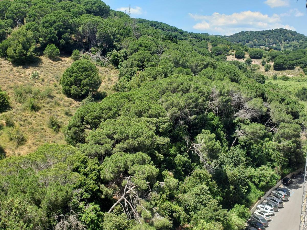 Apart.3 Habit.mar-mont. Ac-terraza-ascensor-parking Calella