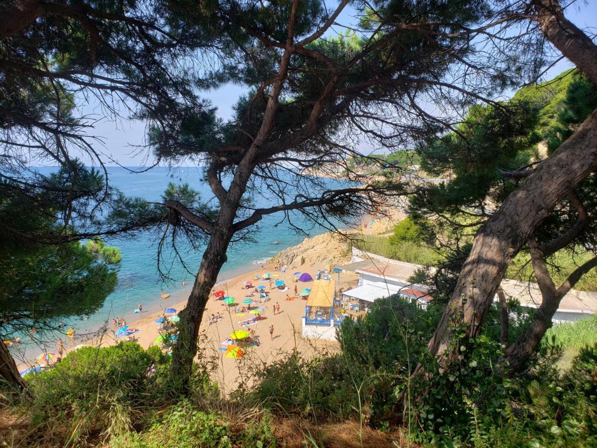 Apart.3 Habit.mar-mont. Ac-terraza-ascensor-parking Apartment Calella